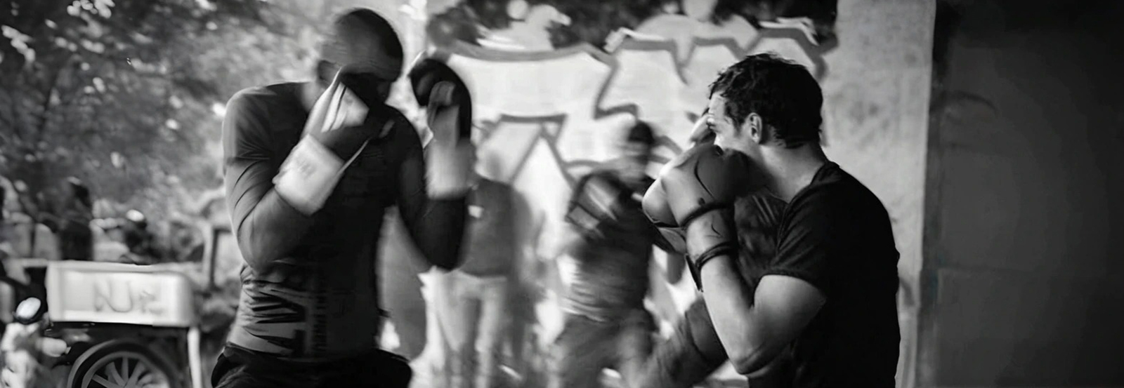 Cherry blossom flowering